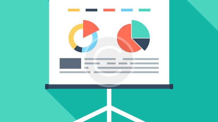 <b>Presentation:</b> Curabitur lacinia velit nec dui consequat.