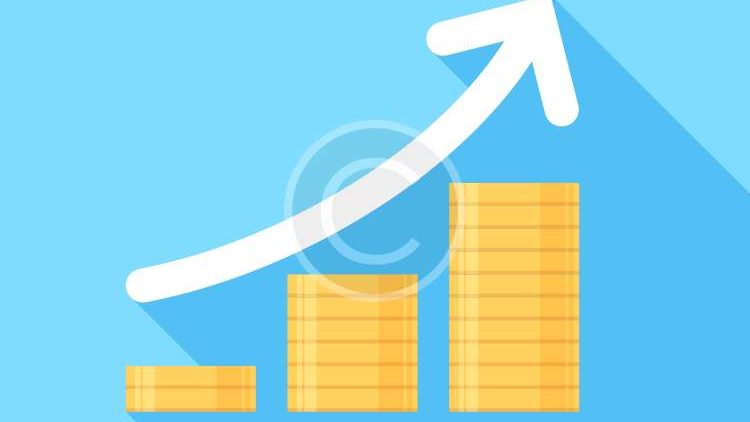 <b>Business Growth:</b> Sed vel tempus libero.